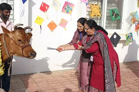 makara-sankranti